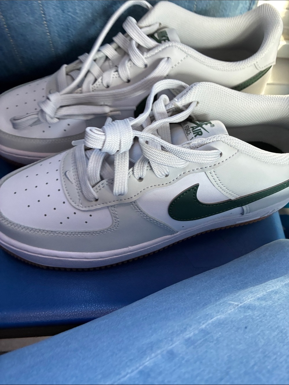 Nike Kids Low-Top Sneakers in White and Dark Green Swoosh